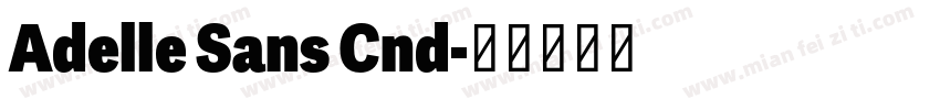 Adelle Sans Cnd字体转换